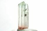 Bi-Colored Elbaite Tourmaline Crystal - Rubaya, Congo #206894-1
